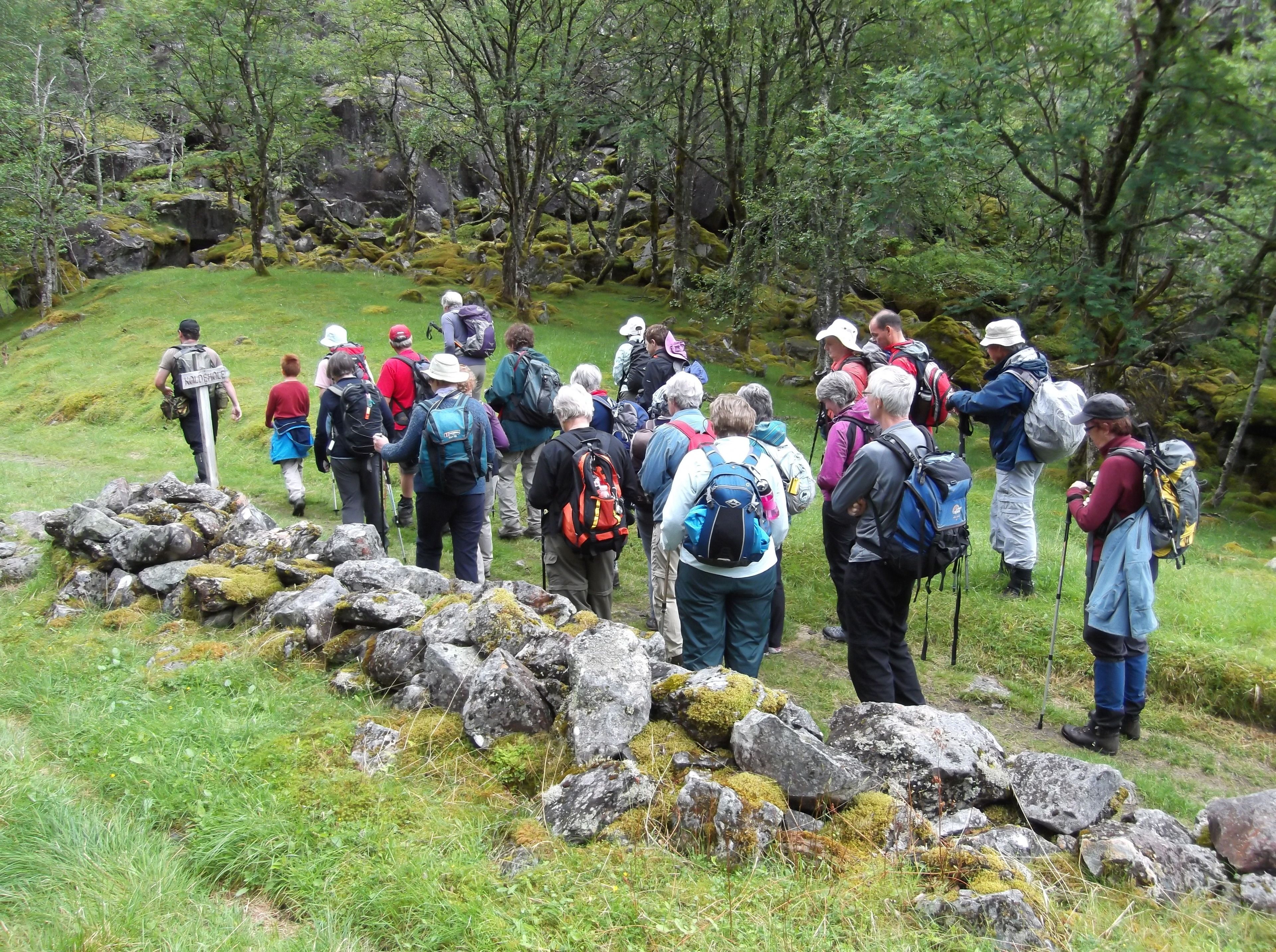 A group of hikers on a grassy trail with rocks and trees.