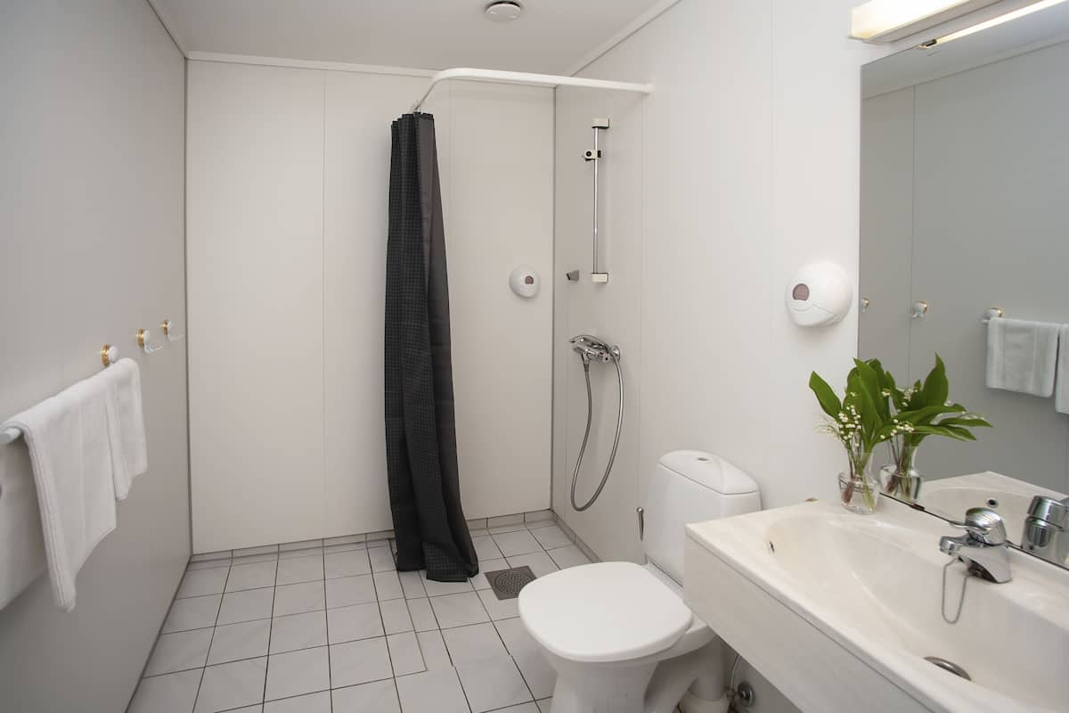 Shower, hair dryer, soap, toilet paper