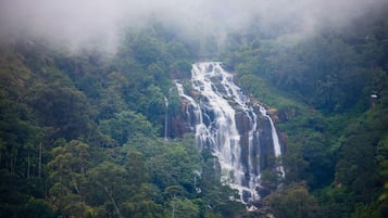 A multi-tiered waterfall surrounded by dense forest.