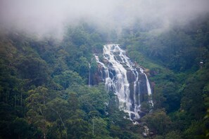 A multi-tiered waterfall surrounded by dense forest. - Ella Eco Lodge (Ella)