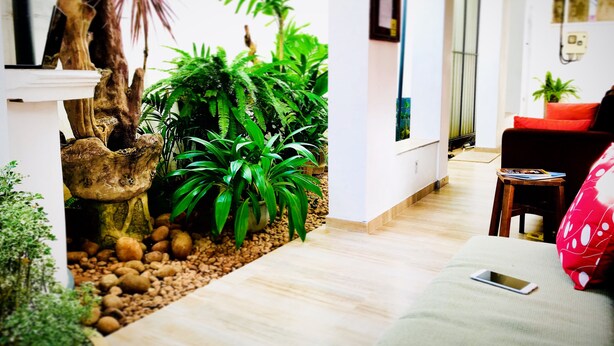 A modern living room with a wooden floor, a sofa, a coffee table, and a variety of indoor plants. - Hotel Dorset (Negombo)