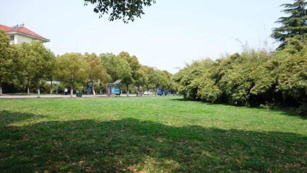 A grassy park area with trees and a building in the background. - Zunyue Grace Hotel (Shanghai Lida University Branch) (Shanghai)