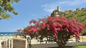 A beachside view with a large pink flowering tree, a stone tower, and a clear blue sky.