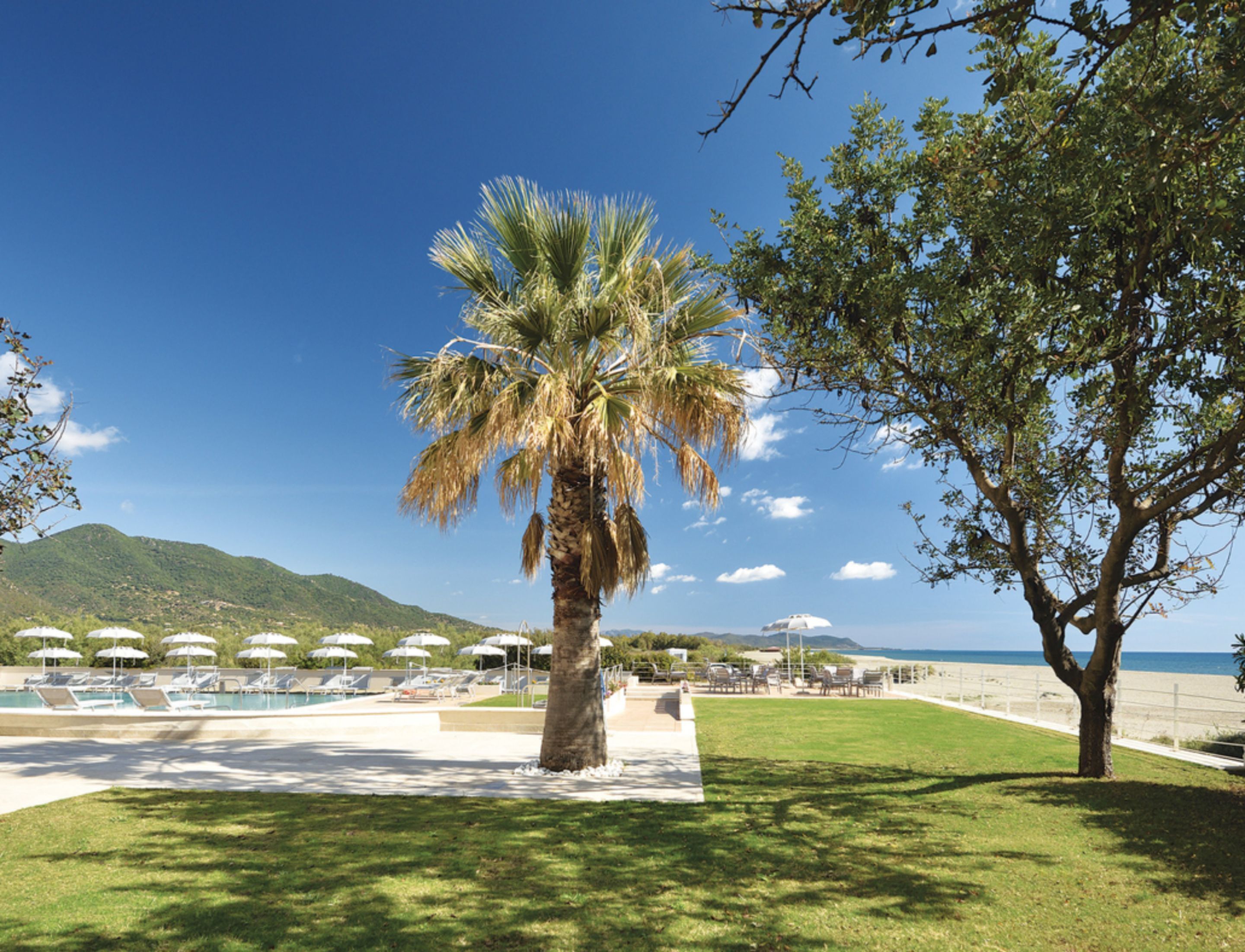 Un espace piscine avec des chaises longues et des parasols, un palmier, et une vue sur la plage et les montagnes.