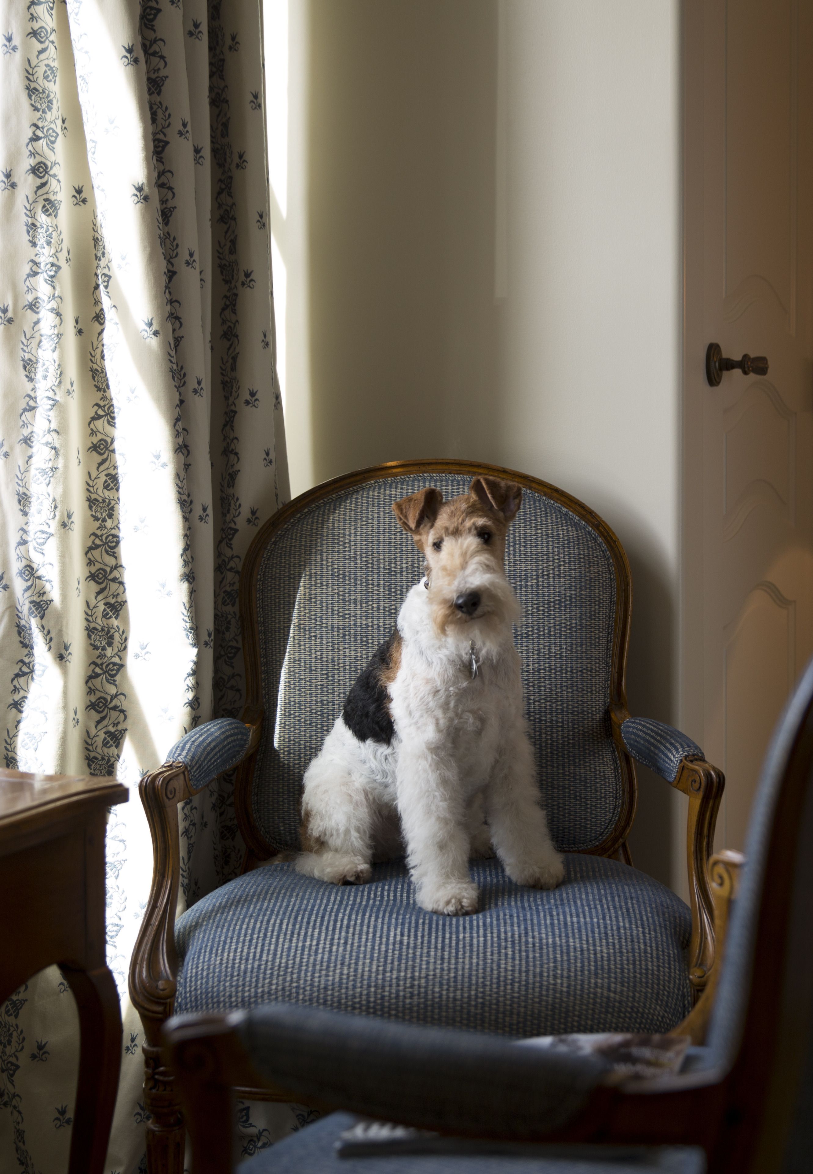 room, 1 king bed | living area | 42-inch flat-screen tv with cable channels, tv, fireplace