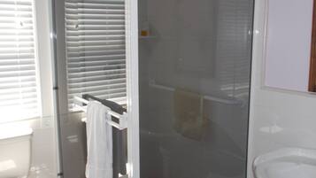 A bathroom with a glass-enclosed shower, a toilet, and a sink.