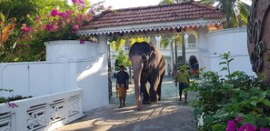 Front of property - Hotel Bougainvilla (Beruwela)