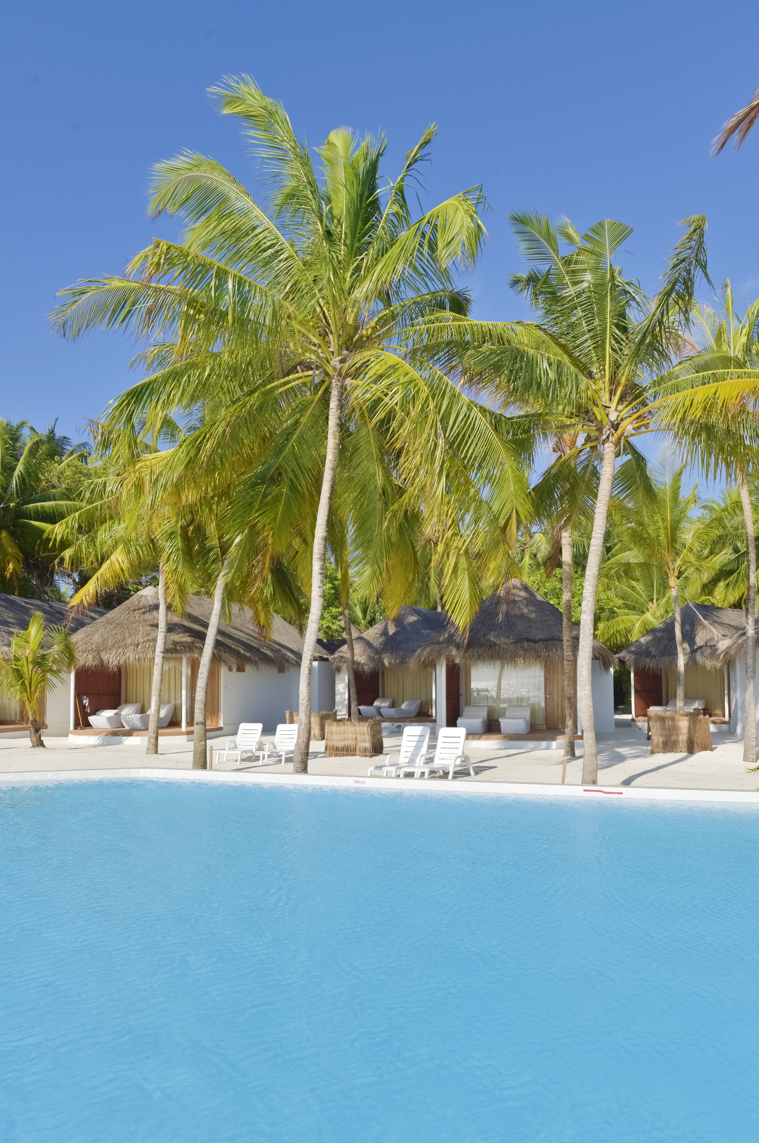 A poolside area with palm trees, thatched-roof huts, and lounge chairs.