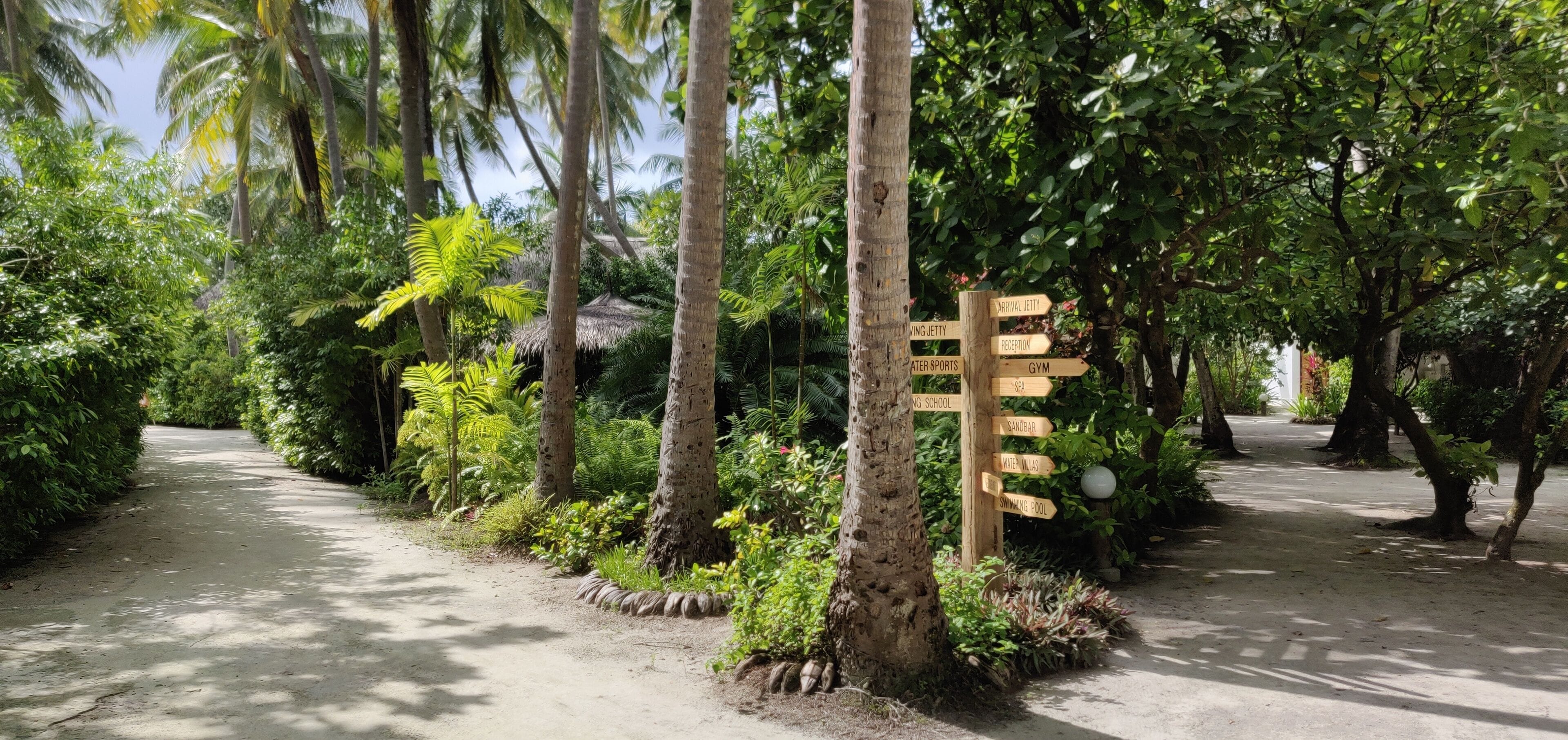 A pathway lined with trees and a wooden signpost with directions to various facilities.