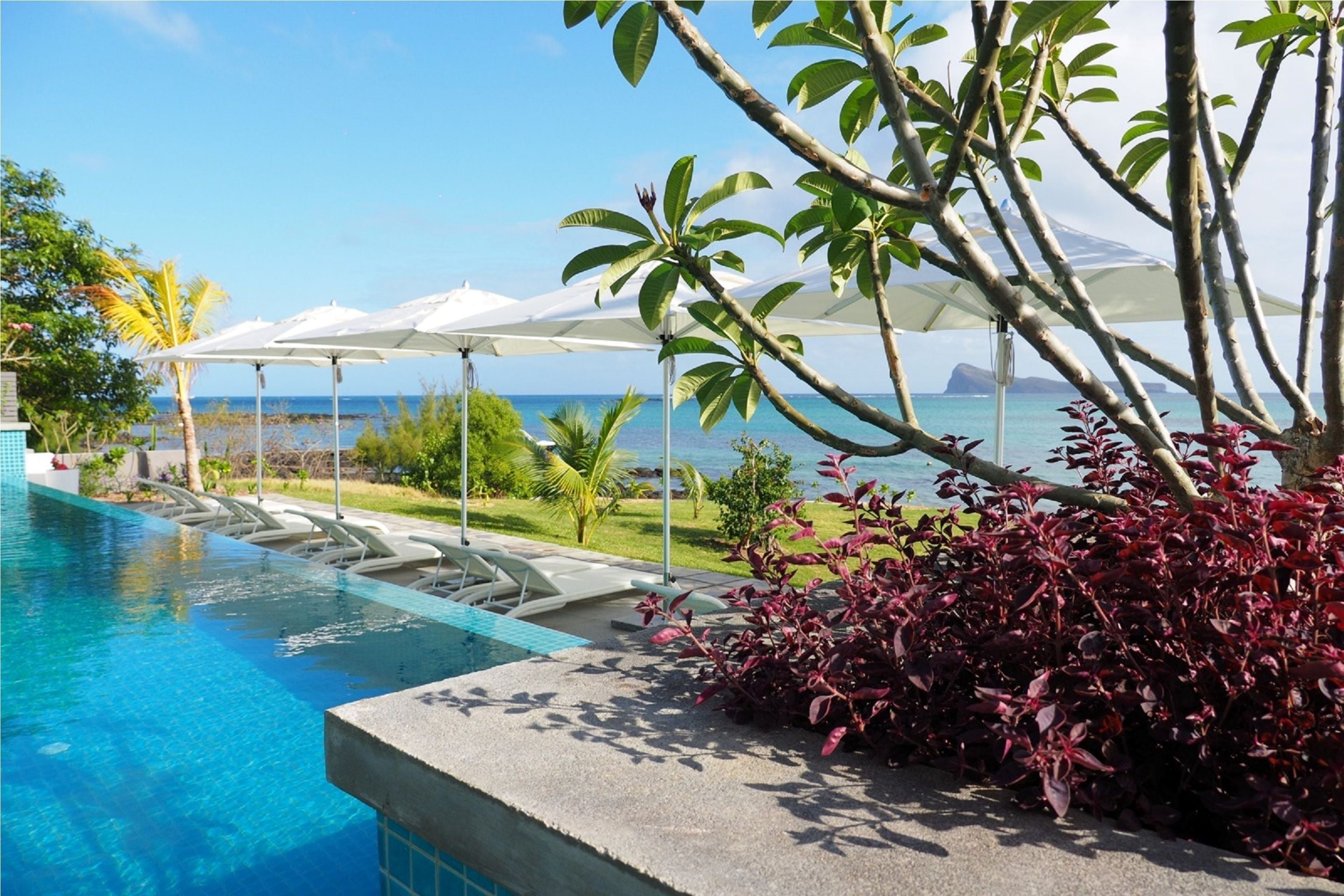 Una piscina al aire libre, sombrillas, sillones reclinables de piscina