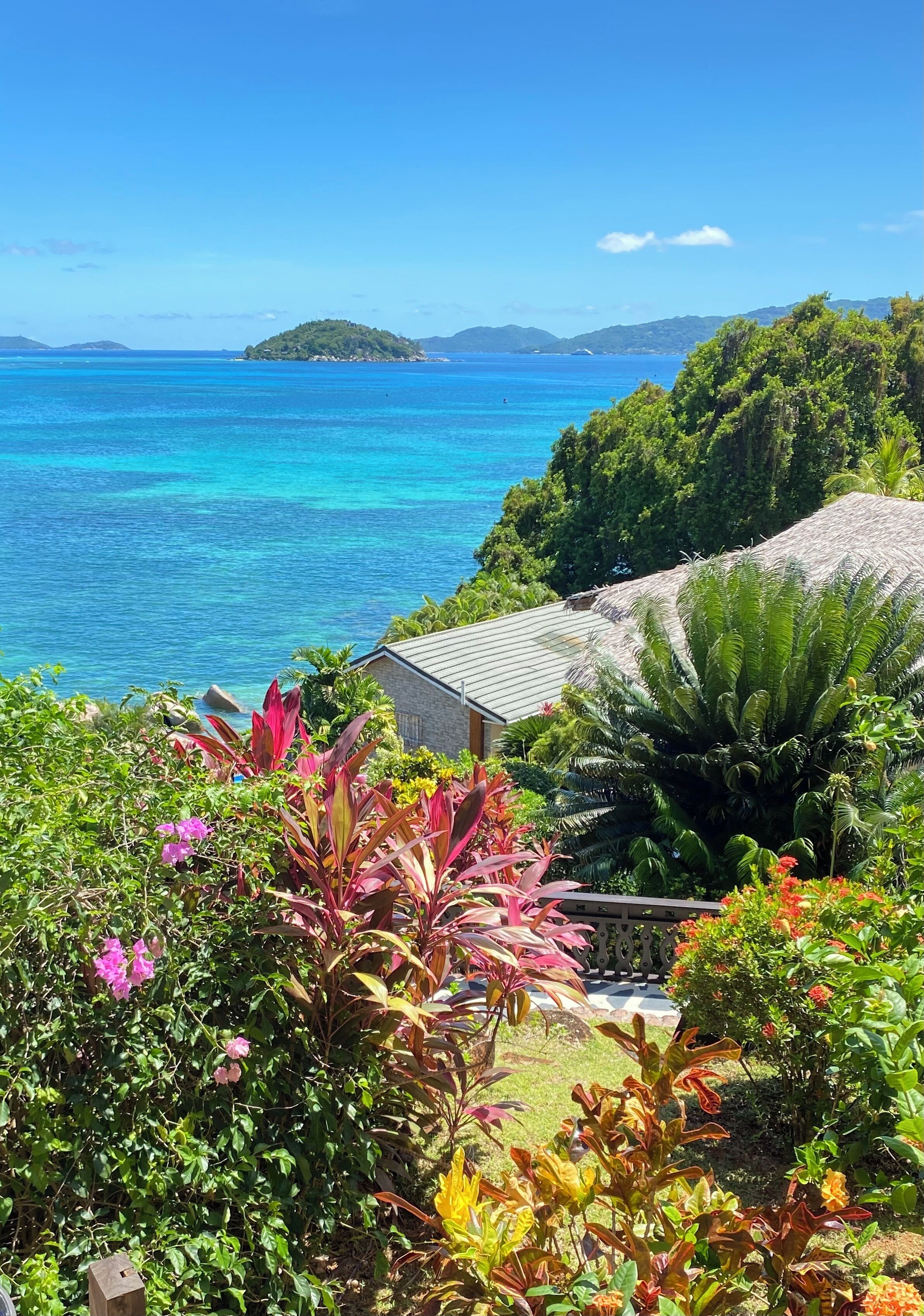 Une vue sur la côte, avec un jardin luxuriant, un bâtiment à toit de chaume et une île lointaine.