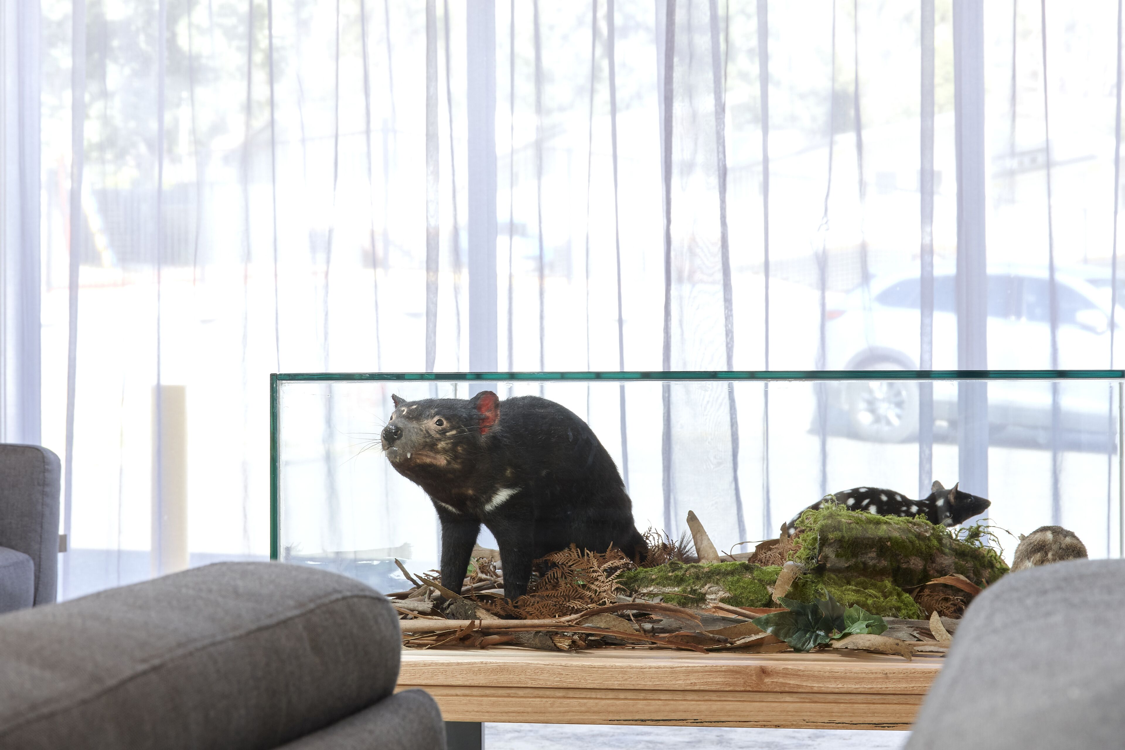 Foto - BIG4 Launceston Holiday Park