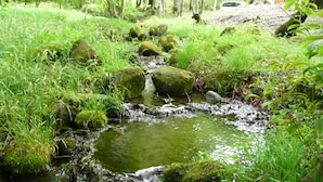 A natural stream with moss-covered rocks and lush greenery. - Scotch Court (Nasu)