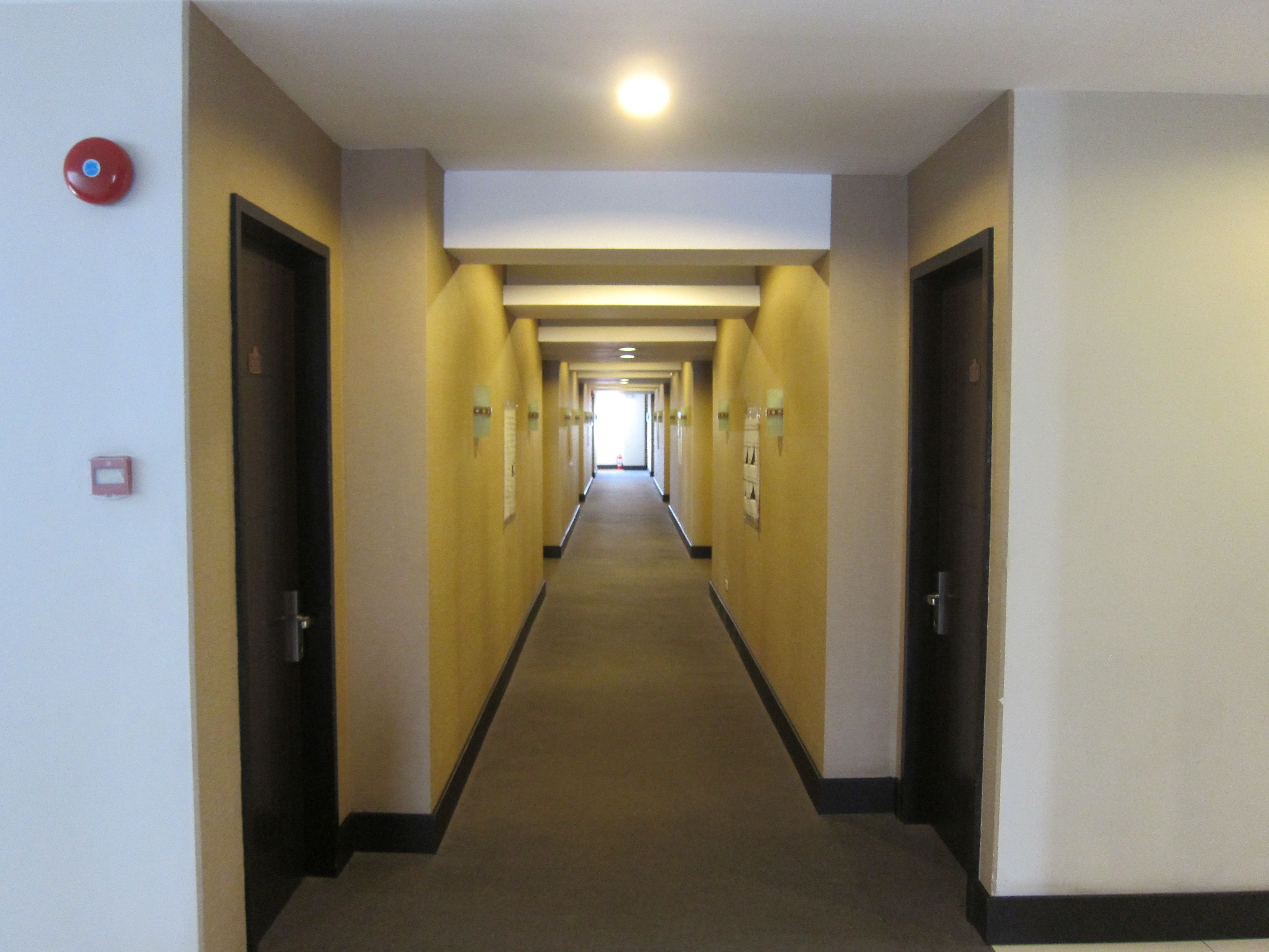 Un pasillo de hotel con puertas a ambos lados, suelo alfombrado e iluminación en el techo.