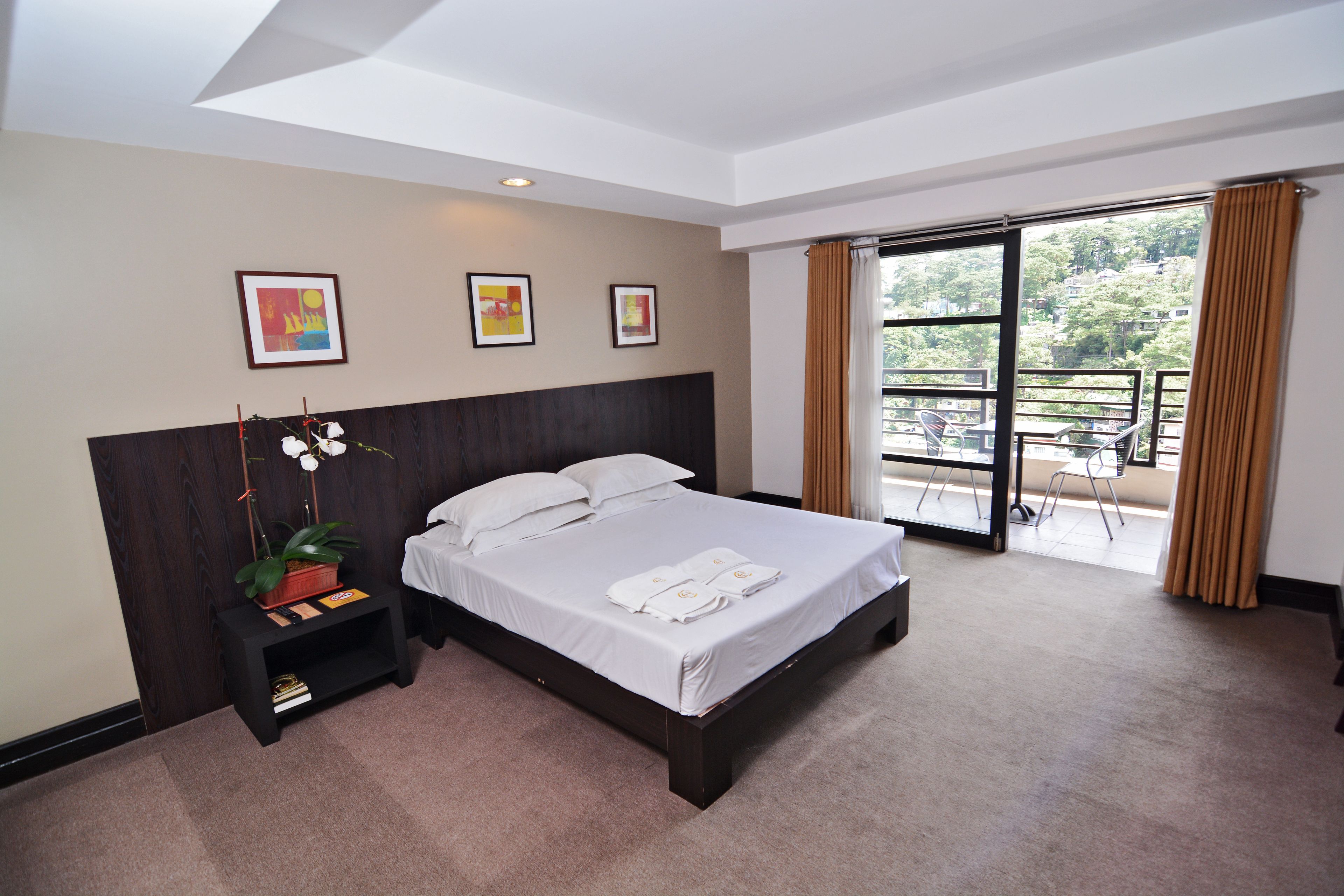 Premiere Deluxe Airconditioning with Veranda | デスク、遮光カーテン、アイロン / アイロン台、ベッドシーツ