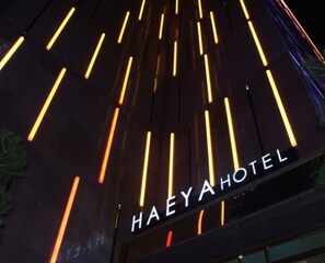 Front of property - evening/night