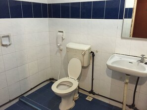 Habitación básica con 2 camas individuales | Baño | Ducha, artículos de higiene personal gratuitos y secador de pelo