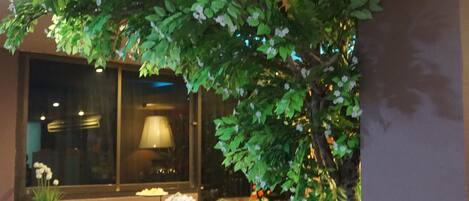 Breakfast, lunch, dinner served; Thai cuisine