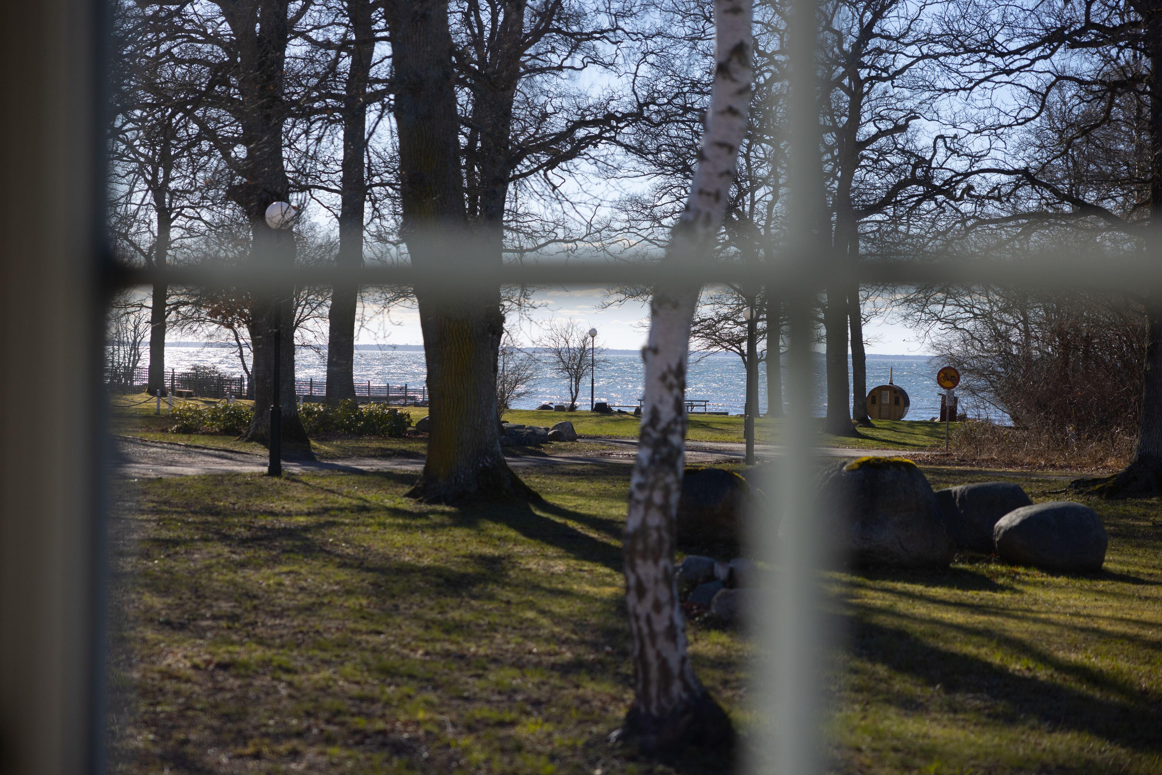 A park with trees, a path, and a view of the water.