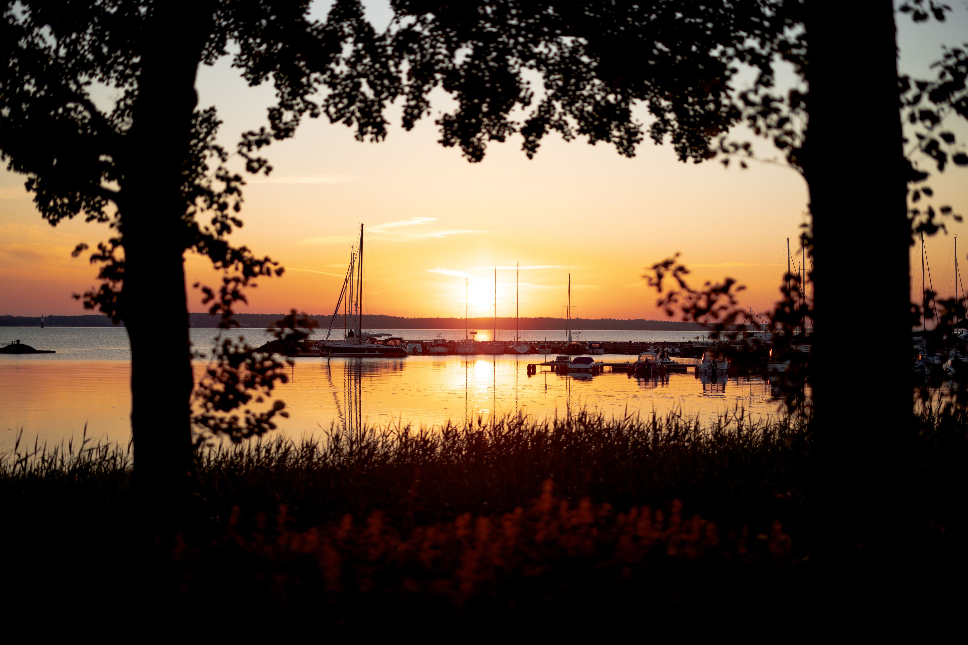 A sunset view with boats on calm water, framed by trees.