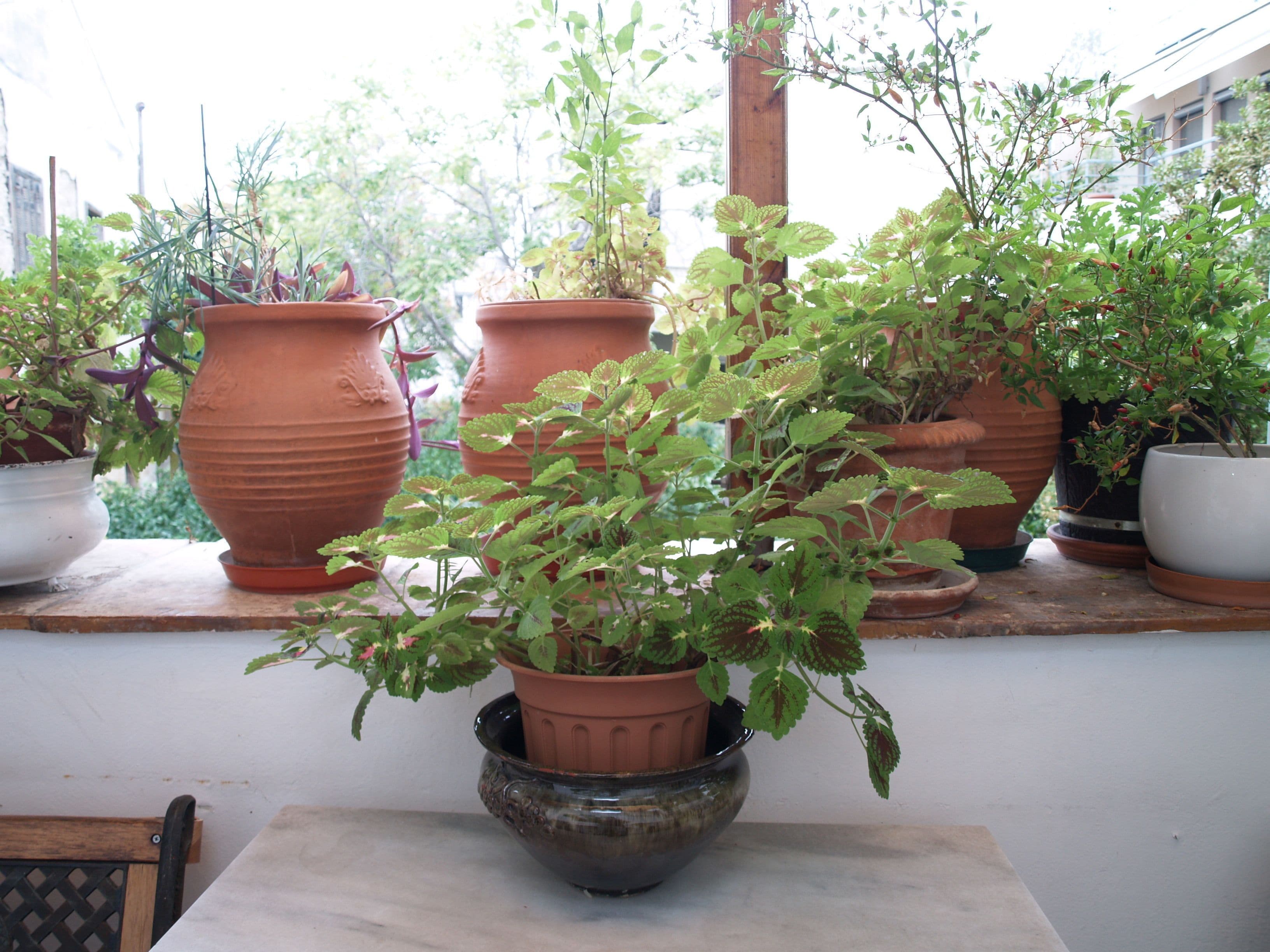 Photo - Acropolis House