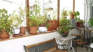 Une terrasse avec un banc en bois, une table et diverses plantes en pot.