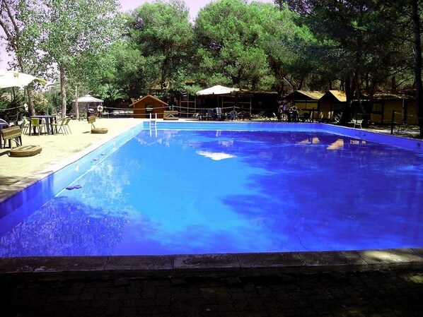 Seasonal outdoor pool, pool umbrellas, pool loungers