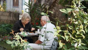 Two people dining at an outdoor table with plants in the foreground. - Hotel Mountain View (Pokhara)