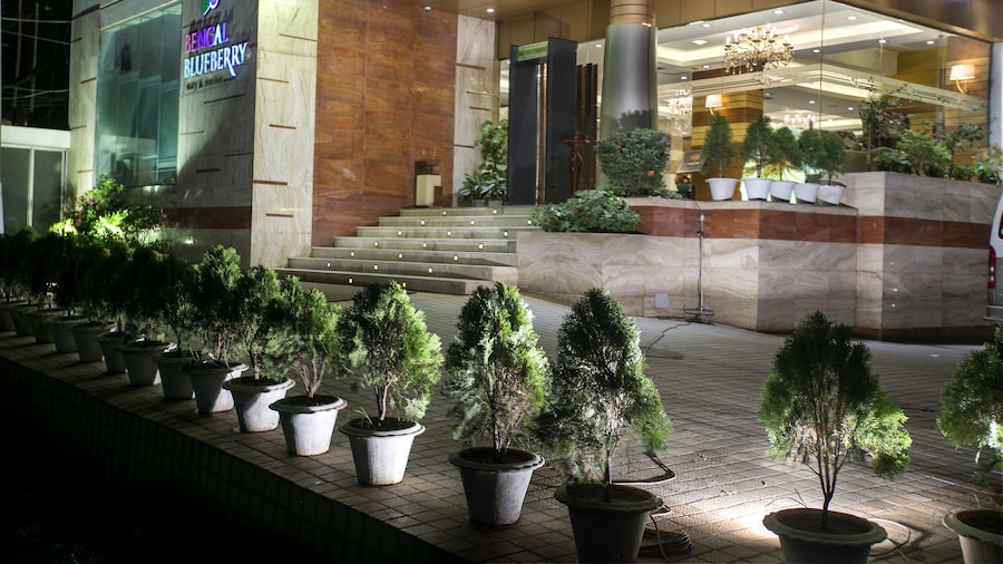 Hotel Bengal Blueberry