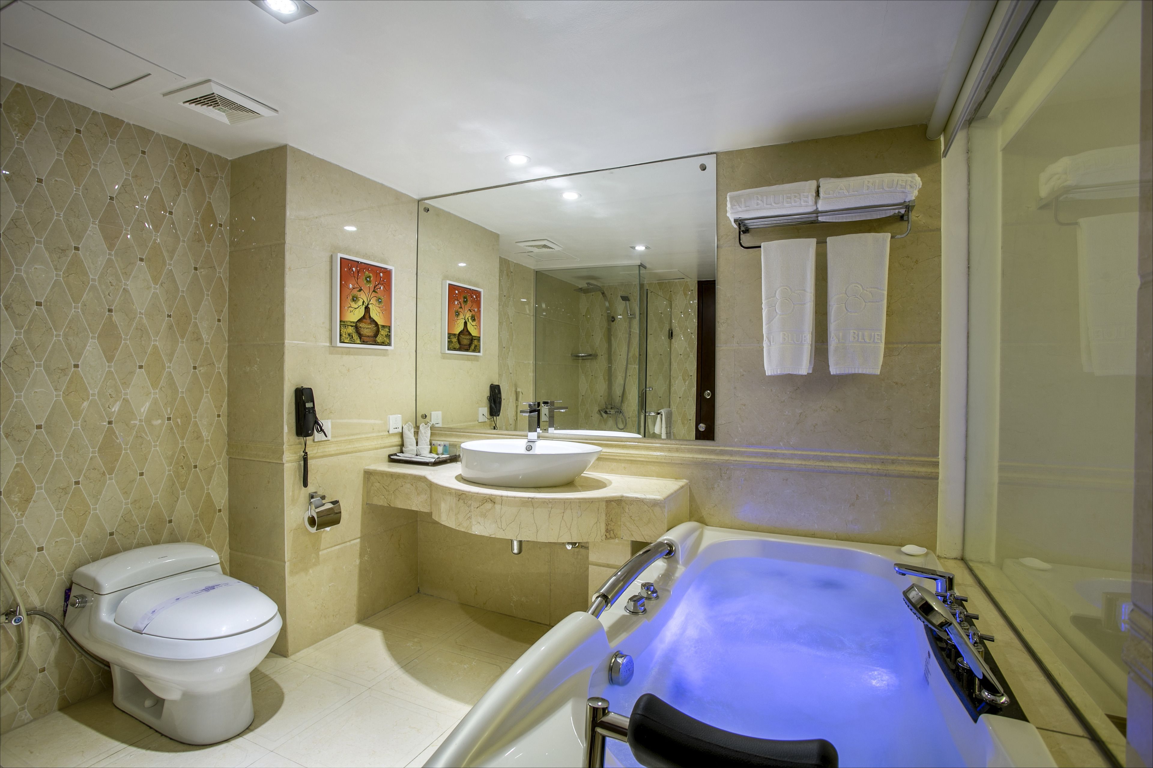 Phòng Suite Executive, 1 giường cỡ king, quang cảnh thành phố | Phòng tắm | Bồn tắm nước khoáng, vòi sen phun mưa 