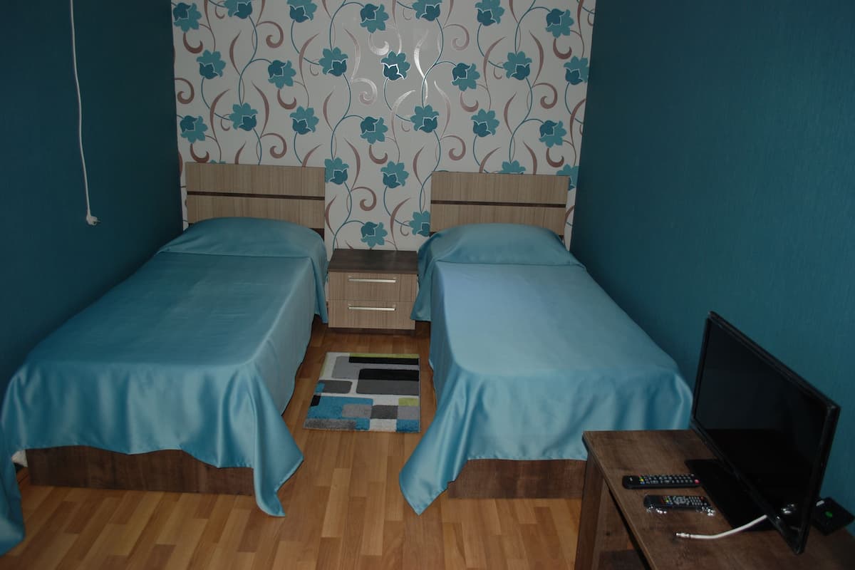 Habitación estándar con 2 camas individuales, vista a la ciudad | Ropa de cama de alta calidad, escritorio y insonorización