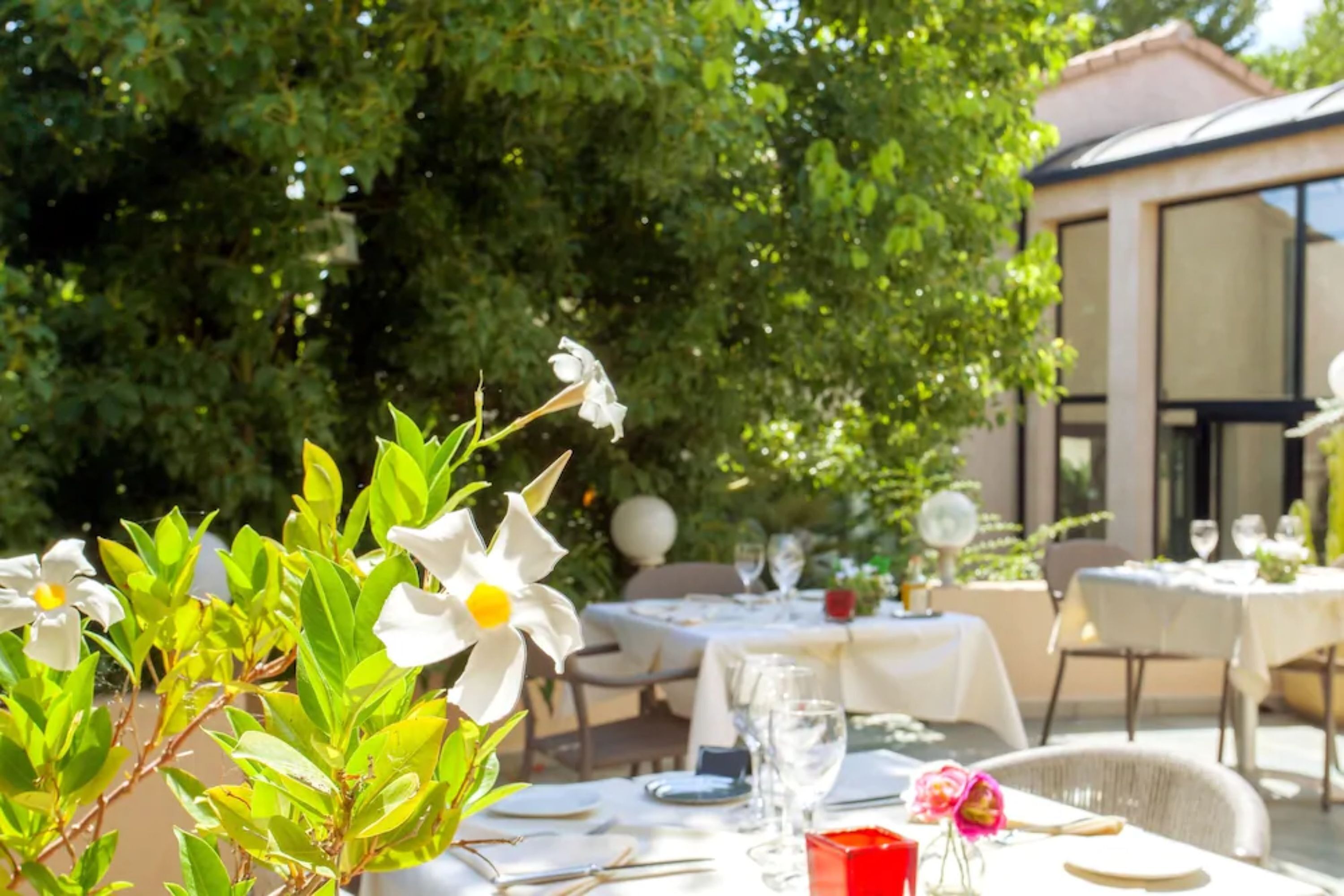 lunch and dinner served, regional cuisine