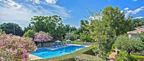 A swimming pool surrounded by lush greenery and a clear blue sky.