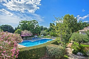 Outdoor pool, open 7:30 AM to 8:30 PM, sun loungers