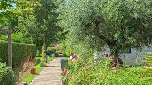A garden pathway with a pergola, various plants, and a tree with pink flowers. - Chez Walter (Lucciana)