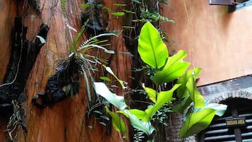 花園