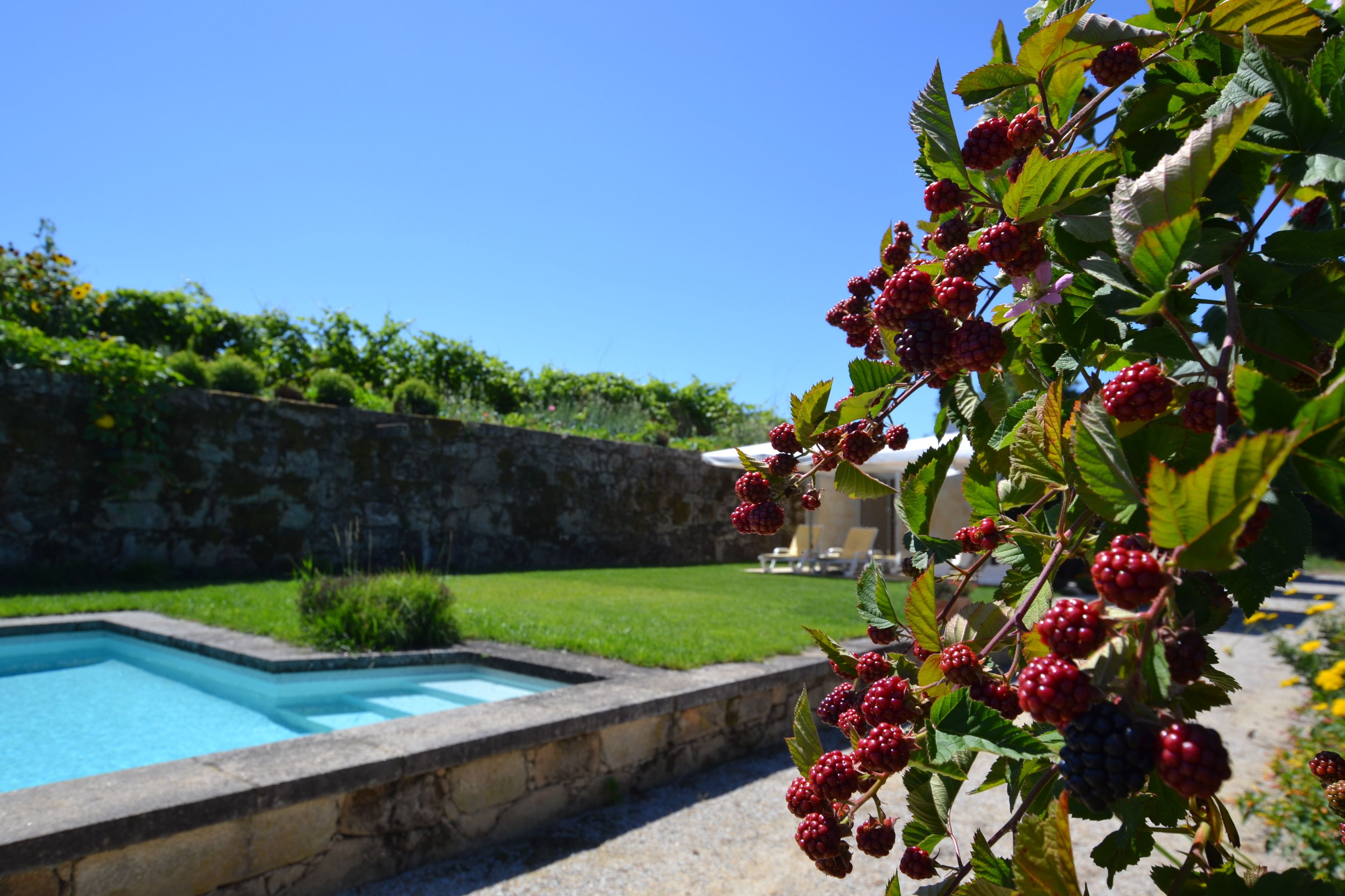 Photo - Quinta Da Agra