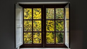 A window with a view of yellow foliage through a grid of panes. - Quinta da Roseira (Ponte de Lima)