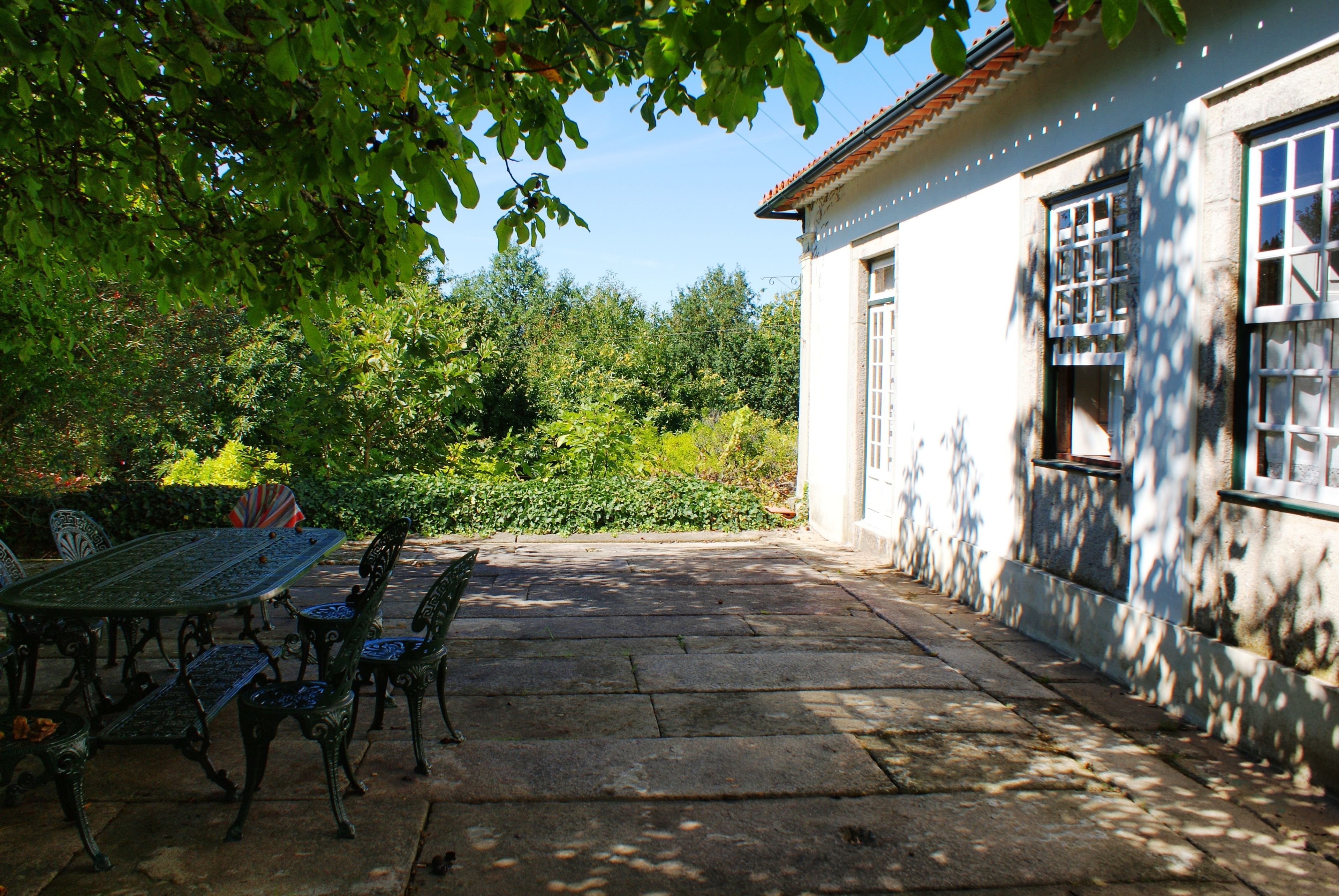 A patio with a table and chairs, a white building with windows, and surrounding greenery.