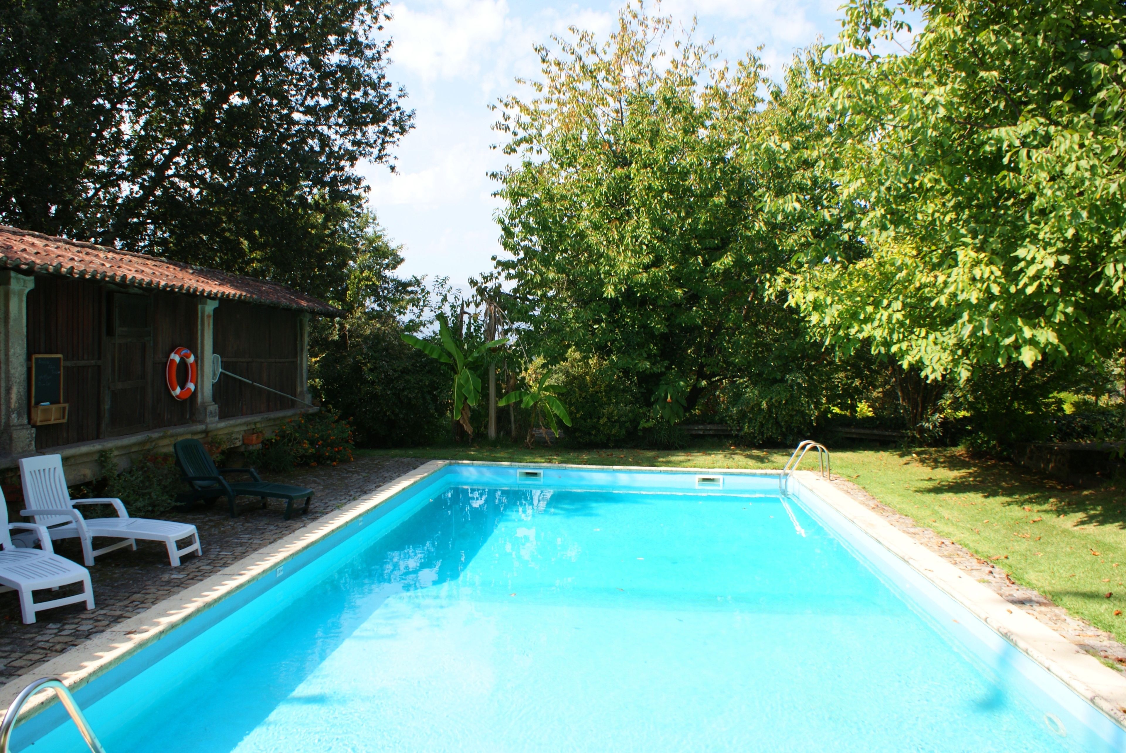 A rectangular swimming pool with a tiled deck, surrounded by lush greenery and a wooden building with a tiled roof.