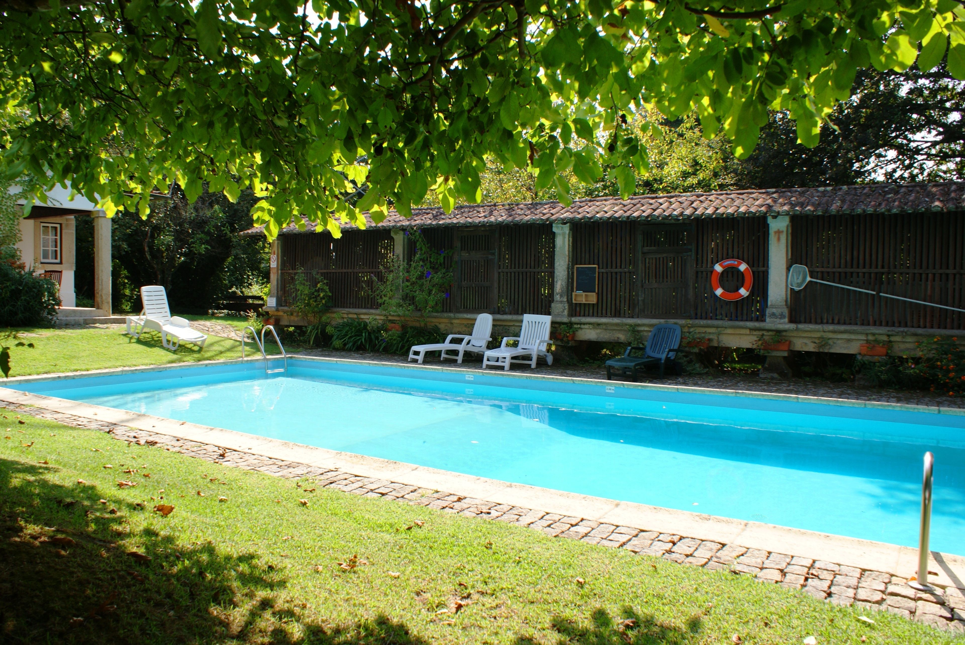 A swimming pool with white lounge chairs, a lifebuoy, and a wooden fence.