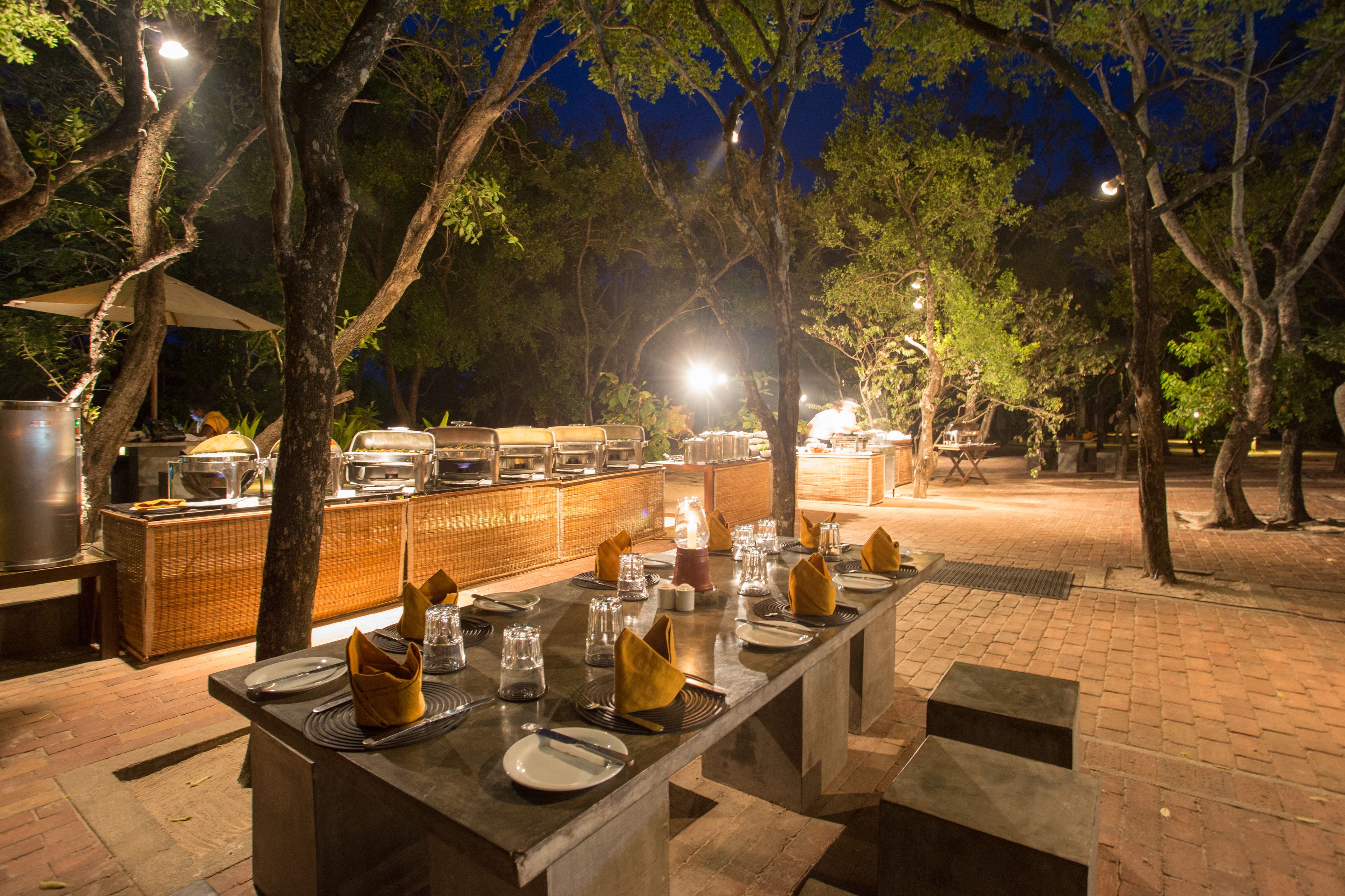 An outdoor dining area with a long table set for multiple guests, surrounded by trees and illuminated by ambient lighting.