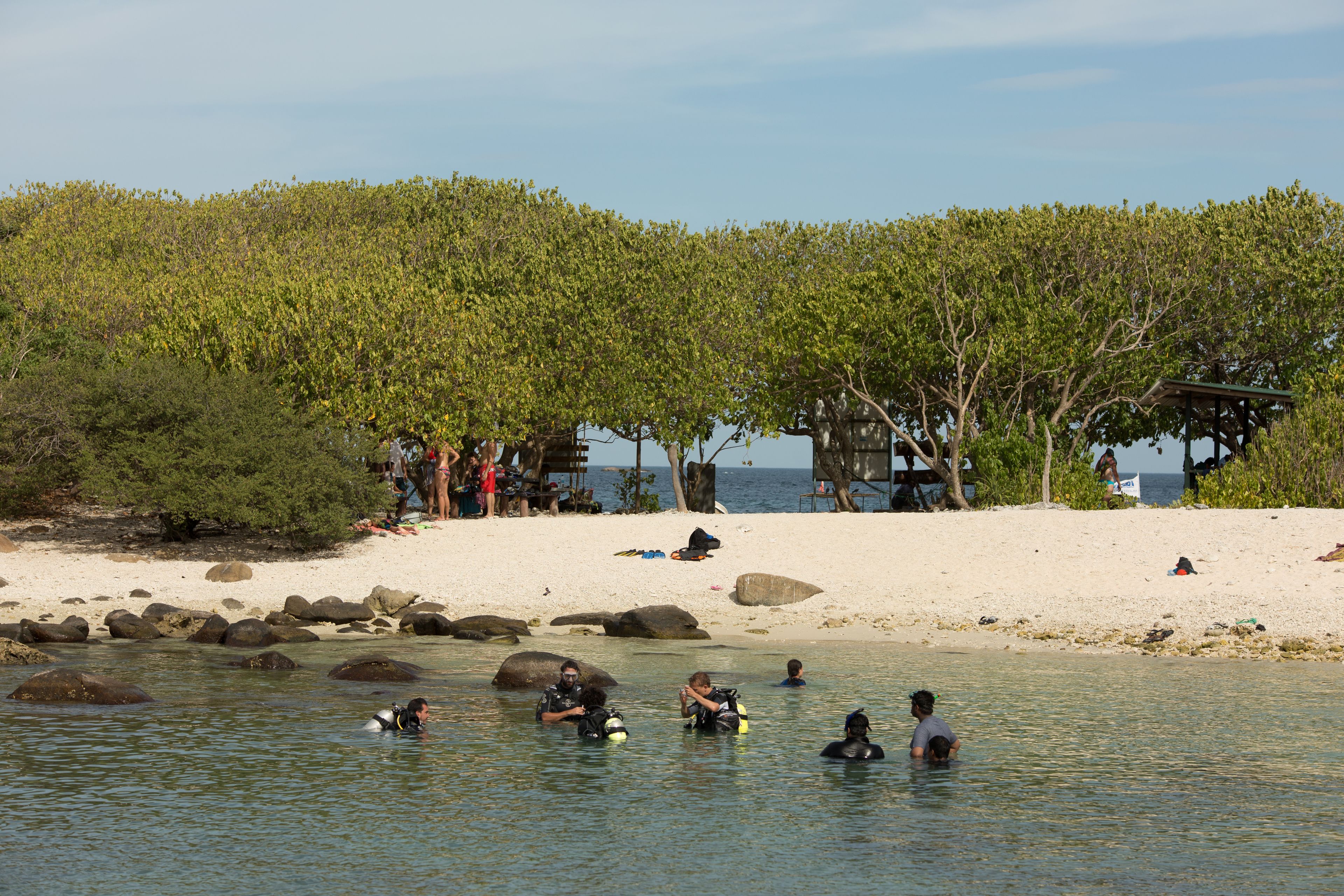 A beach with clear water, rocks, and trees.