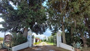 A gated entrance with a gravel path leading to a building, surrounded by trees and potted plants.