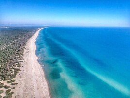 Vista aérea de una zona costera con una extensa playa y aguas azules cristalinas.