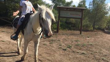 A person riding a horse on a dirt path with a sign indicating directions to various trails.