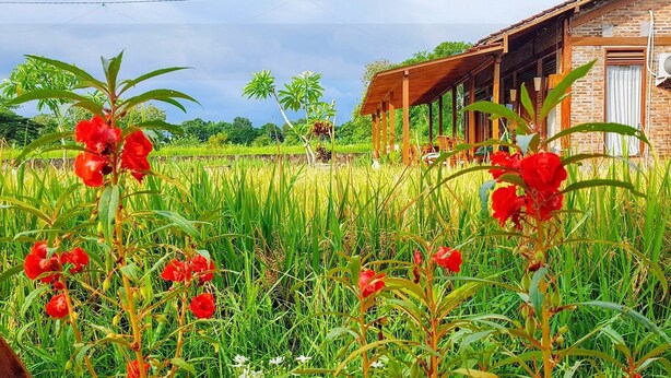 A rural setting with a wooden house, a field of tall grass, and red flowers in the foreground. - Alamanda Family Villas & Pool (Sleman)