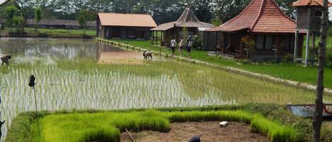 Fachada del alojamiento