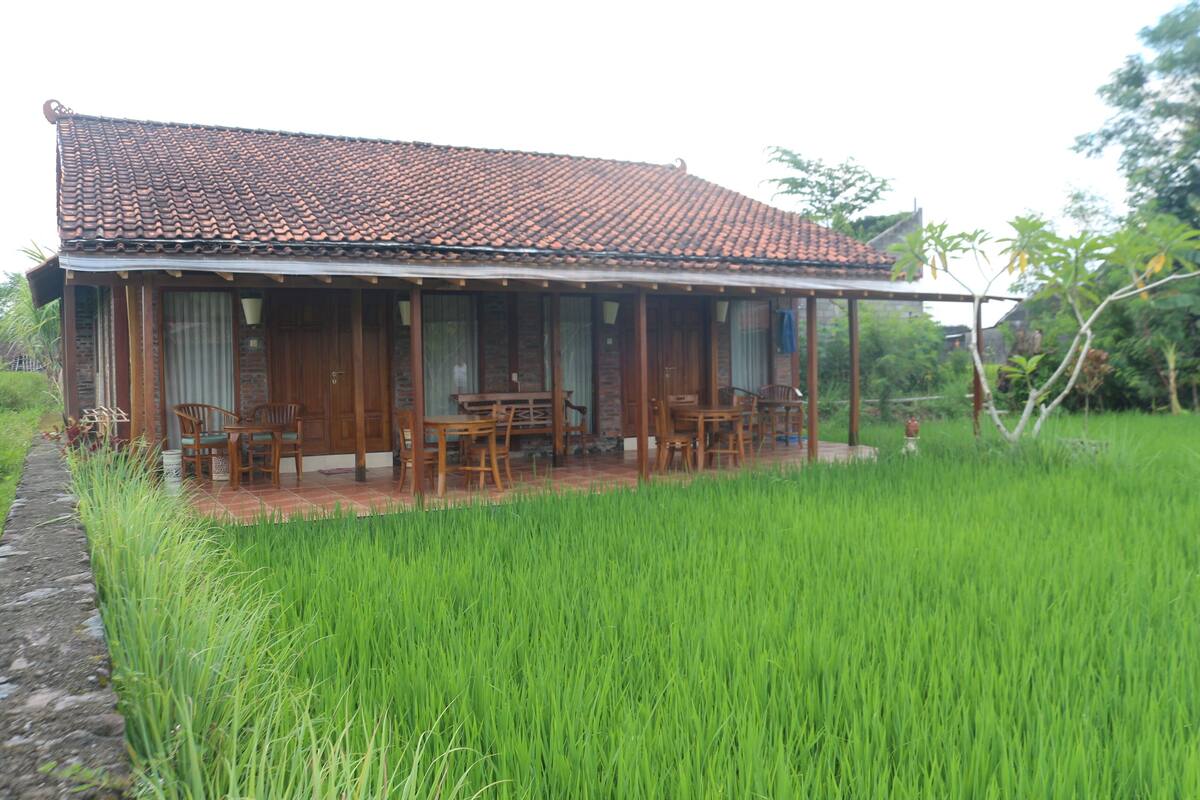 Family Bungalow, 2 Bedrooms, Garden View, Ground Floor | 1 bedroom, Egyptian cotton sheets, premium bedding, pillowtop beds