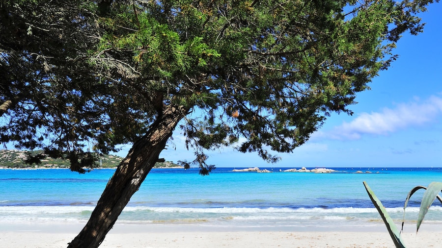 HĂŽtel Castell'Verde